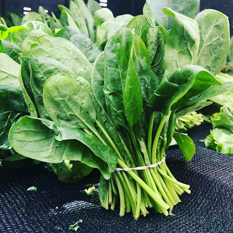 Lady Finger (Bhindi)